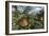 Prehistoric Glyptodonts Graze on Grassy Plains. an Eremotherium Is in the Background-null-Framed Art Print