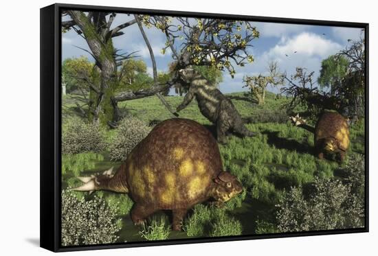 Prehistoric Glyptodonts Graze on Grassy Plains. an Eremotherium Is in the Background-null-Framed Stretched Canvas