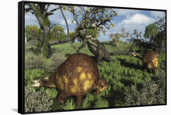 Prehistoric Glyptodonts Graze on Grassy Plains. an Eremotherium Is in the Background-null-Framed Stretched Canvas