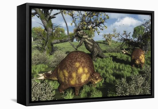Prehistoric Glyptodonts Graze on Grassy Plains. an Eremotherium Is in the Background-null-Framed Stretched Canvas