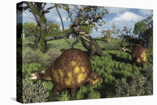 Prehistoric Glyptodonts Graze on Grassy Plains. an Eremotherium Is in the Background-null-Stretched Canvas