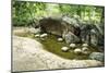 Prehistoric Landscape-Yury Zap-Mounted Photographic Print