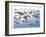 Prehistoric Marine Life-null-Framed Premium Giclee Print