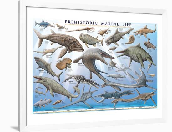 Prehistoric Marine Life-null-Framed Premium Giclee Print