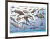 Prehistoric Marine Life-null-Framed Premium Giclee Print