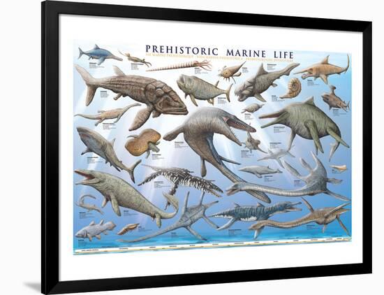 Prehistoric Marine Life-null-Framed Premium Giclee Print