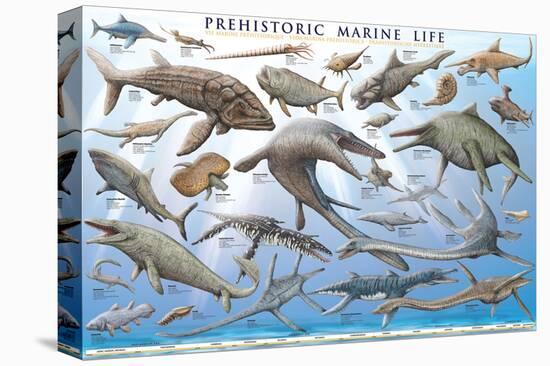 Prehistoric Marine Life-null-Stretched Canvas