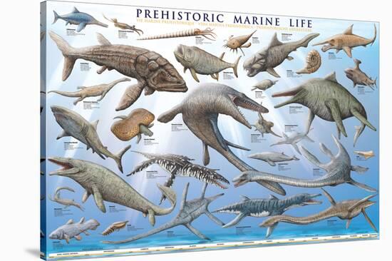 Prehistoric Marine Life-null-Stretched Canvas