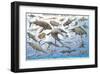 Prehistoric Marine Life-null-Framed Art Print