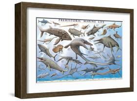 Prehistoric Marine Life-null-Framed Art Print