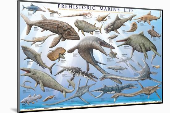 Prehistoric Marine Life-null-Mounted Art Print