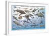 Prehistoric Marine Life-null-Framed Art Print