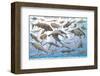 Prehistoric Marine Life-null-Framed Art Print