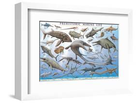 Prehistoric Marine Life-null-Framed Art Print