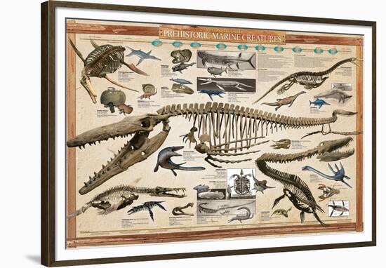 Prehistoric Marine Reconstruct-null-Framed Premium Giclee Print