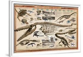 Prehistoric Marine Reconstruct-null-Framed Premium Giclee Print