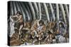 Prehistoric People in Cave-null-Stretched Canvas