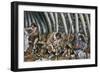 Prehistoric People in Cave-null-Framed Giclee Print