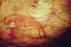Prehistoire, Art Du Paleolithique Superieur : Un Bison Ou Auroch, Peinture Parietale Dans La Grotte-Prehistoric Prehistoric-Giclee Print