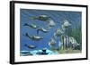 Prehistoric Pteraspis Jawless Fish Swimming with a Group of Chelmon Butterflyfish-null-Framed Art Print