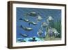Prehistoric Pteraspis Jawless Fish Swimming with a Group of Chelmon Butterflyfish-null-Framed Premium Giclee Print