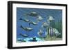 Prehistoric Pteraspis Jawless Fish Swimming with a Group of Chelmon Butterflyfish-null-Framed Premium Giclee Print