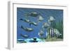 Prehistoric Pteraspis Jawless Fish Swimming with a Group of Chelmon Butterflyfish-null-Framed Premium Giclee Print