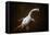 Prehistoric Reconstruction: Plesiosaurus Macrocephalus-null-Framed Stretched Canvas