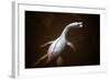 Prehistoric Reconstruction: Plesiosaurus Macrocephalus-null-Framed Photographic Print