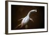 Prehistoric Reconstruction: Plesiosaurus Macrocephalus-null-Framed Photographic Print