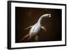 Prehistoric Reconstruction: Plesiosaurus Macrocephalus-null-Framed Photographic Print