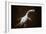 Prehistoric Reconstruction: Plesiosaurus Macrocephalus-null-Framed Photographic Print