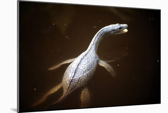 Prehistoric Reconstruction: Plesiosaurus Macrocephalus-null-Mounted Photographic Print