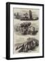 Prehistoric Remains in Jersey-null-Framed Giclee Print