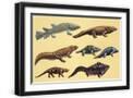 Black Frame