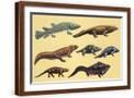 Brown Frame