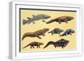 White Frame