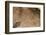 Prehistoric Rock Engravings of Taino Culturedominican Republic-Reinhard Dirscherl-Framed Photographic Print