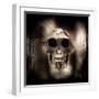 Prehistoric Skull-Clive Nolan-Framed Photographic Print