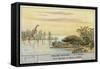 Prehistoric World-European School-Framed Stretched Canvas