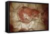 Prehistory : Bison at Rest-null-Framed Stretched Canvas