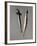 Prehistory, Iron Age, Villanovian Culture, Bronze Spindle-Whorls-null-Framed Giclee Print