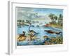 Prehistory - Jurassic - Reconstruction of Natural Environment in Europe and Some of the Animals…-German School-Framed Giclee Print