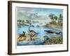 Prehistory - Jurassic - Reconstruction of Natural Environment in Europe and Some of the Animals…-German School-Framed Giclee Print