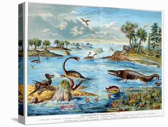 Prehistory - Jurassic - Reconstruction of Natural Environment in Europe and Some of the Animals…-German School-Stretched Canvas