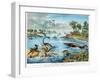 Prehistory - Jurassic - Reconstruction of Natural Environment in Europe and Some of the Animals…-German School-Framed Giclee Print