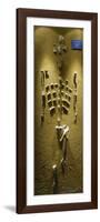 Prehistory, Paleolithic, Lucy Skeleton, Reproduction-null-Framed Giclee Print