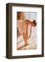 Prelude-Andrew White-Framed Art Print