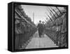 Premier Eamon De Valera, Inspecting the Guard of Honour Outside the Post Office in O'Connell Street-null-Framed Stretched Canvas