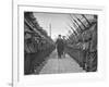 Premier Eamon De Valera, Inspecting the Guard of Honour Outside the Post Office in O'Connell Street-null-Framed Photographic Print